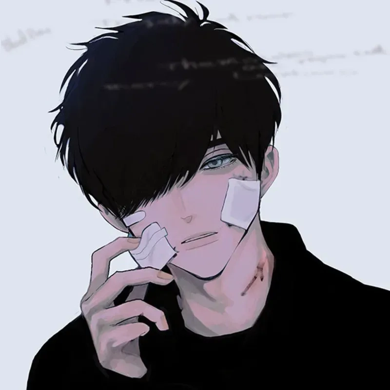 Avatar mèo cute anime giúp bạn thể hiện tình yêu với động vật dễ thương