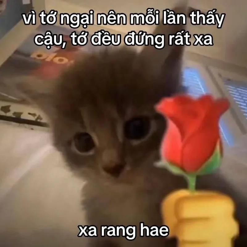 Meme tình cảm mang lại tiếng cười sảng khoái