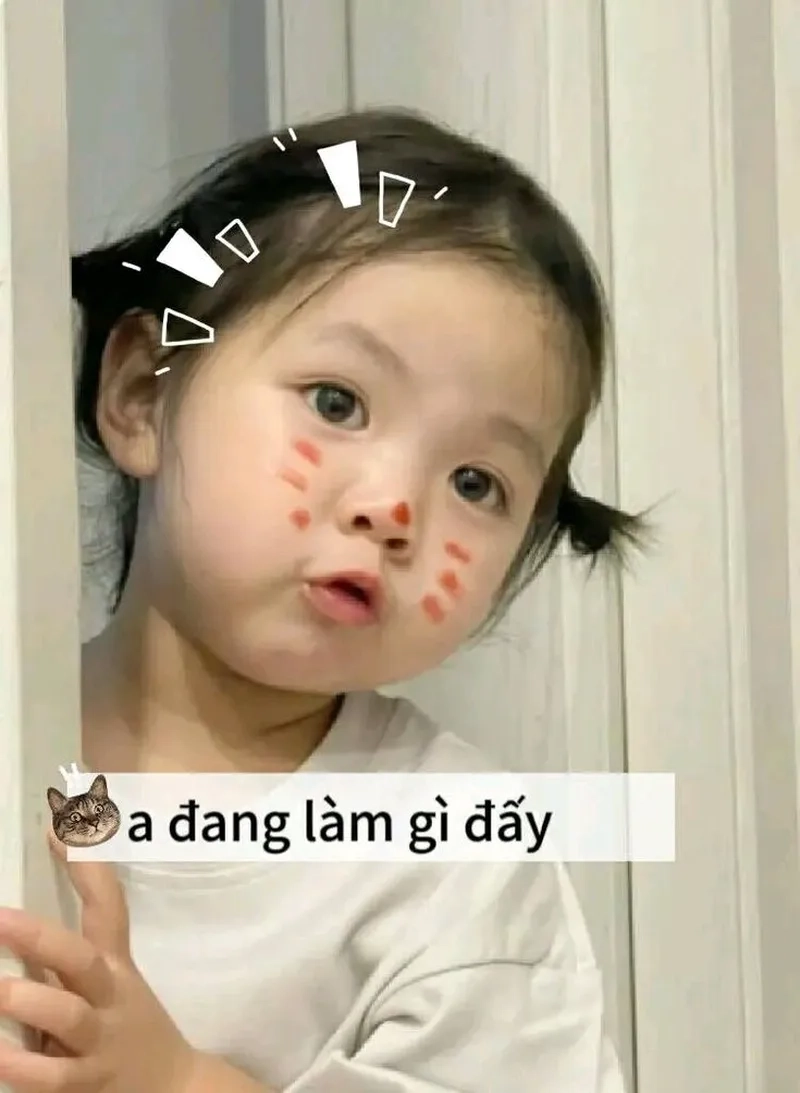 Meme si tình khiến bạn không thể nhịn cười