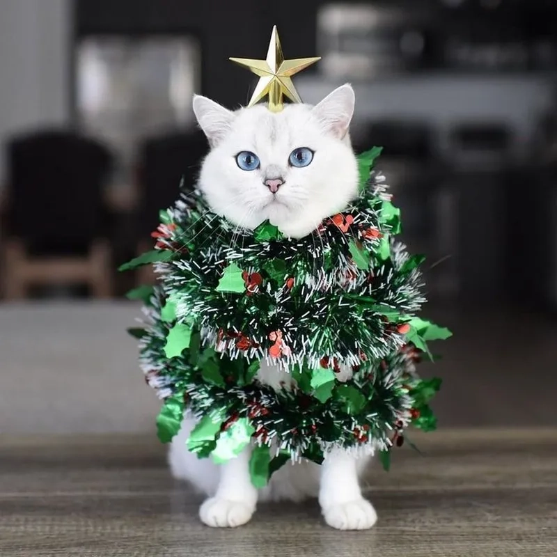 Avatar meme noel đáng yêu cho những ai yêu thích sự vui nhộn