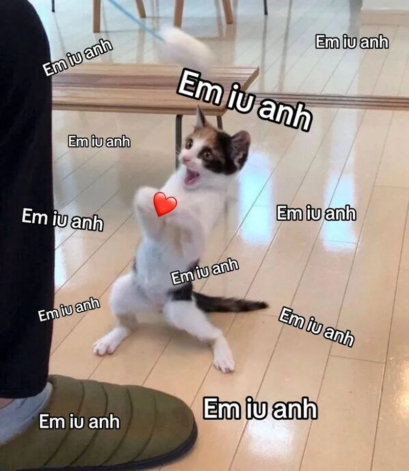 Meme ngồi ghế khiến bạn cảm thấy thoải mái
