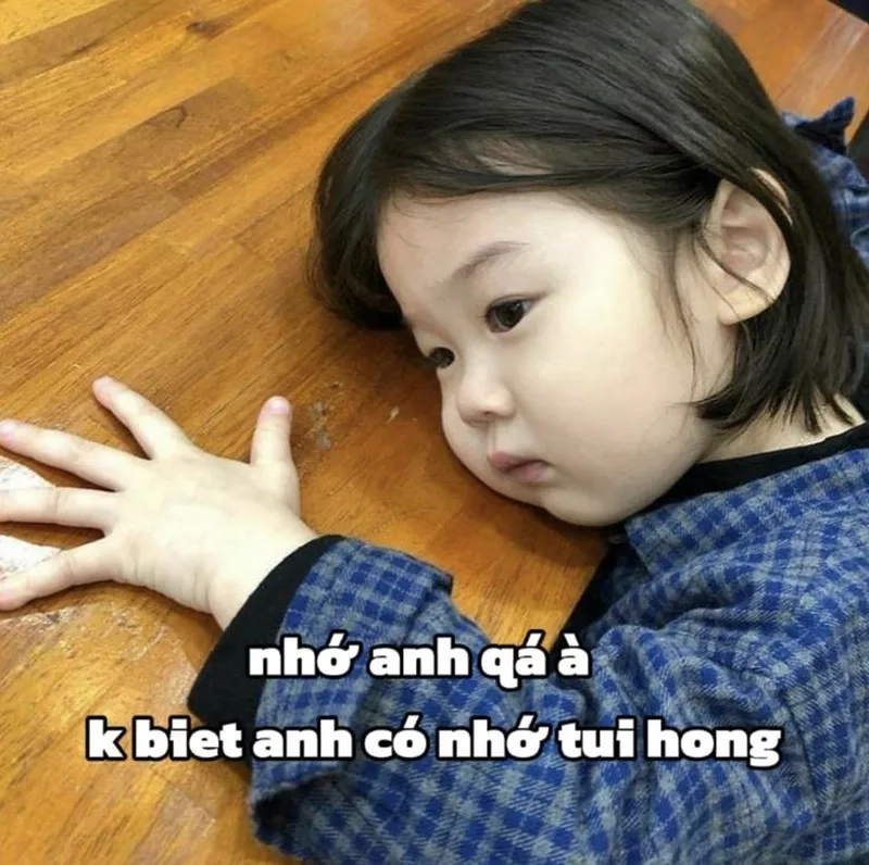 Meme mèo hun thật đáng yêu và hài hước