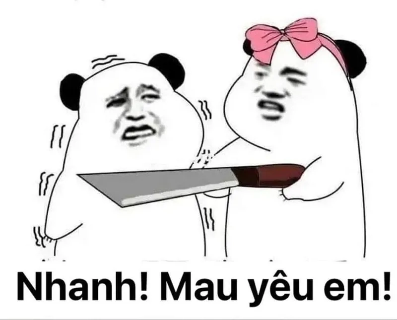 Ảnh meme mèo tình yêu thật dễ thương và vui nhộn