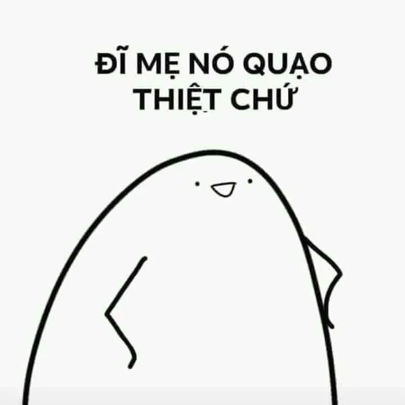 Meme con mèo tức giận dễ thương khiến bạn cảm thấy vui vẻ