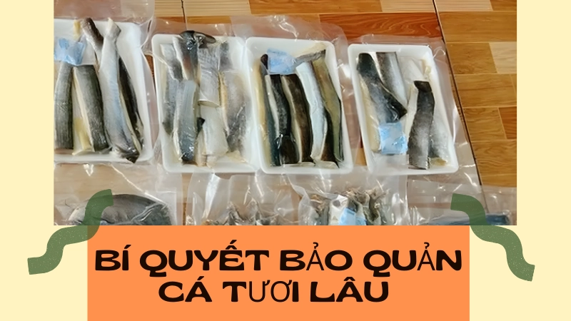 Túi cá bớp được hút chân không bảo quản trong tủ lạnh