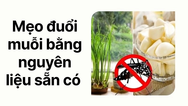 Mẹo đuổi muỗi bằng nguyên liệu sẵn có trong bếp