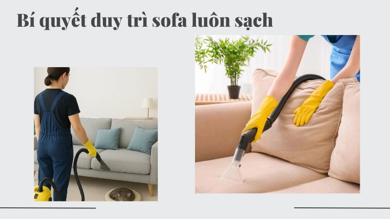 Duy trì thói quen hút bụi hàng tuần giúp bảo vệ sofa luôn như mới