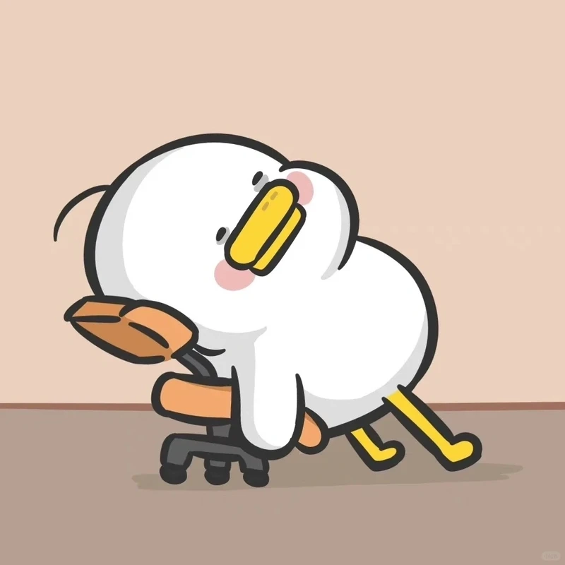 Chiêm ngưỡng hình ảnh vịt trắng đáng yêu tự nhiên