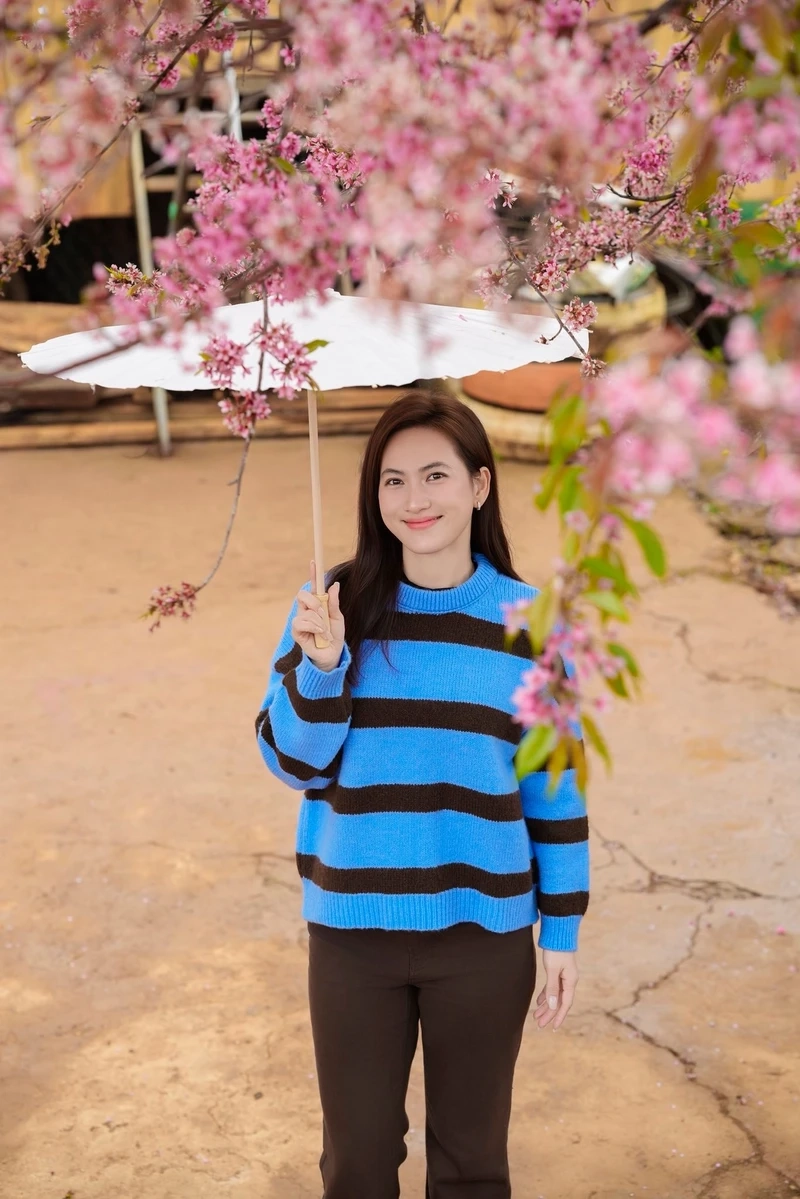 Tiểu sử Phương Anh Đào 