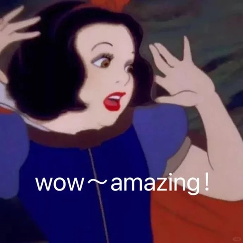 Khám phá memes wow viral khắp mạng xã hội