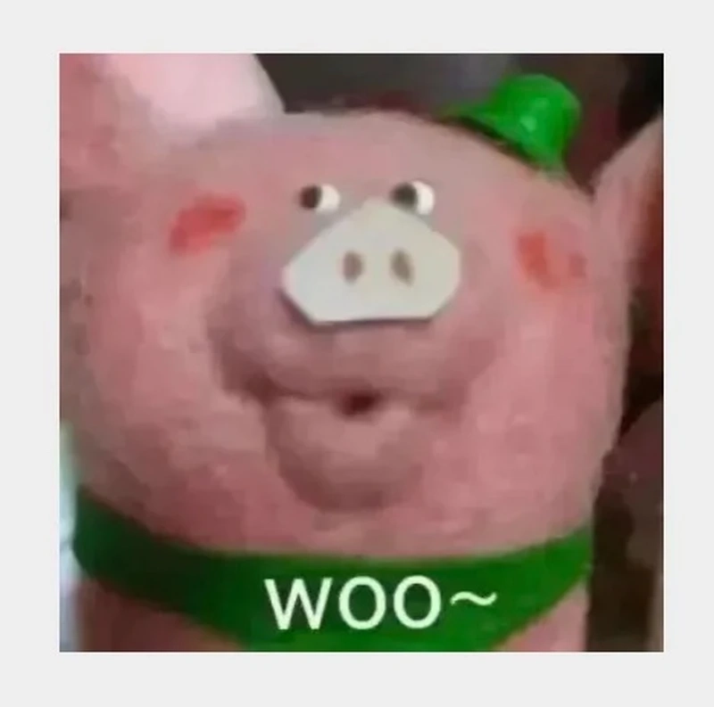 Tuyển chọn ảnh meme wow xem là bật cười