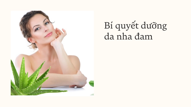 Công thức dưỡng da bằng nha đam cấp tốc